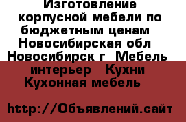 Изготовление корпусной мебели по бюджетным ценам - Новосибирская обл., Новосибирск г. Мебель, интерьер » Кухни. Кухонная мебель   